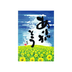 |XgJ[h10Zbgy肪Ƃz