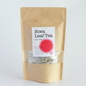 v}VeB ꂢ т풃 3g×10