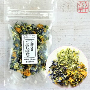 ̉ yzhCGfBut[Hׂ邨΂ȁEt[t[N rI 2g (Hp ~bNXP[L XC[c NbL[   Y  hCt[ fR[