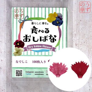 ̉ yzhCGfBut[Hׂ邨΂ȁȂłi100j Hp P[L XC[c NbL[   Y  Ԃт hCt[ fR[V v[