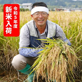 2023年収穫 南あわじ市松帆産てっちゃんのれんげ米コシヒカリ（10kg）（白米）