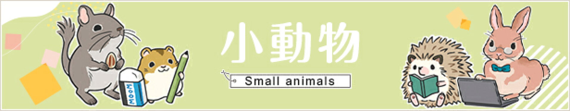小動物