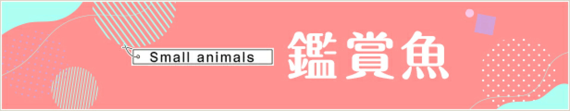 観賞魚