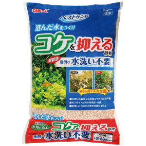 xXgTh6L[Ϗ܋ pi ꍻ]