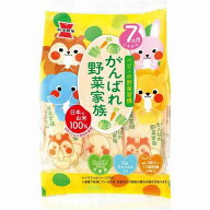 岩塚製菓 がんばれ野菜家族 43gx6個セット[お菓子 おやつ ベビーフード ]