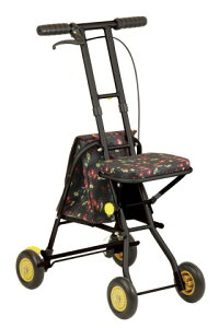 Ka쏊 v`J SICP01]BKi܂ yʁj[Vo[J[]