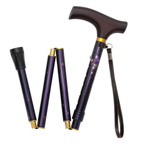 Ka쏊 eCRu܏􎮐LkXebLiׁj EOP03](܂肽)[]