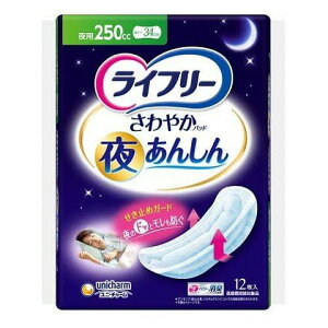 Ct[ ₩pbh 邠񂵂 250cc pނ 12[Ct[ pi@ lpނ@삨ނ]