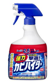 花王 強力カビハイターハンディスプレー特大1000ml [強力カビハイター 洗剤 おふろ用]