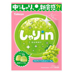 Jo inO~ }XJbg\[_ 52g×10ZbgmO~@Hn