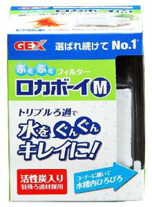 GEX J{[CM RM|1[Ϗ܋ pi]