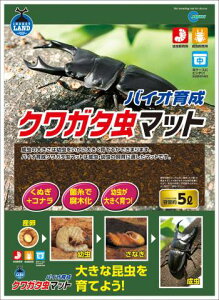 oCI琬NK^}bg 5L[ pi }bg]