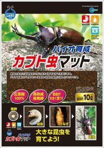 oCI琬Jug}bg 10L[ pi }bg]