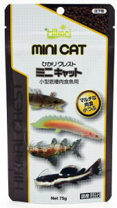 ЂNXg~jLbg75g[Ϗ܋ t[h aE]