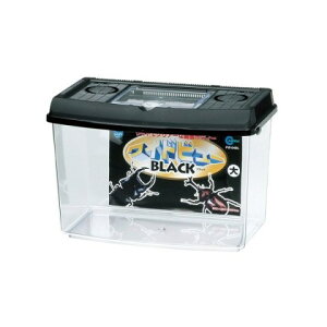 vP[XChr[BLij[ pi P[X]