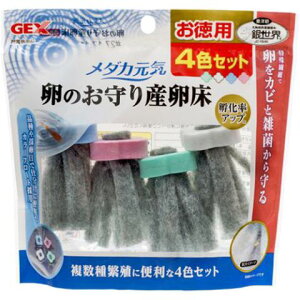 GEX _JC ̂Y 4FZbgmGEXiWFbNXj _Jn