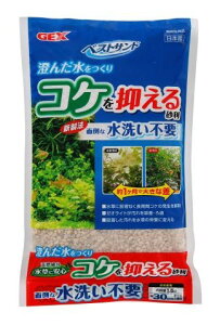 xXgTh1.5L[Ϗ܋ pi ꍻ]