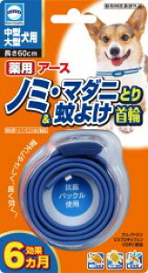 pm~}_jƂ悯֒^^p1{[pi 悯]