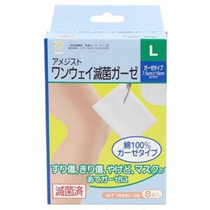 AWXg@EFCŋۃK[[L@8[K[[ ]