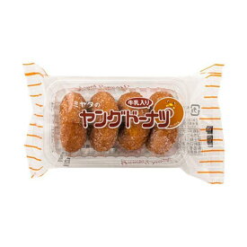 宮田製菓 ヤングドーナツ 4個×20個セット［お菓子　駄菓子］