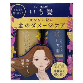 ●【在庫限り】いち髪　ダメージリペア＆カラーケアペアセット［シャンプー]