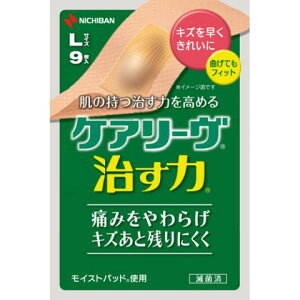 PA[ LTCY 9mPA[ Jnpi΂񂻂jn