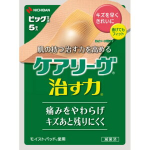 PA[ ̓rbOTCY 5mPA[ Jnpi΂񂻂jn