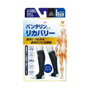 aoeR[Jo[J[tX[u@RXubNL[T|[^[@ӂ͂n