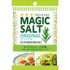 エスビー 袋入りマジックソルト オリジナル 20g×10個セット[マジックソルト]