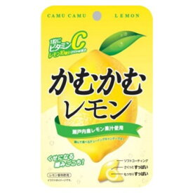 かむかむレモン袋 30g×10個セット［かむかむレモン］
