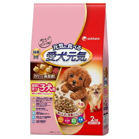 愛犬元気 健康に育つ子犬用チキン・ささみ・緑黄色野菜・小魚入り2kg[愛犬元気 ドッグフード ドライ]
