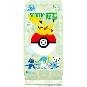 y݌ɌzXRbeB EFbgeBV[  mAR[^Cv |P50mۃV[gn