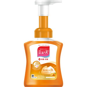A~[Y t[eB[tbV{ 250ml[~[Y nh\[v]