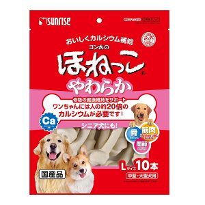 TCY Ŝق˂ VjA LTCY ^E^p 10{mS ق˂  W[L[ n