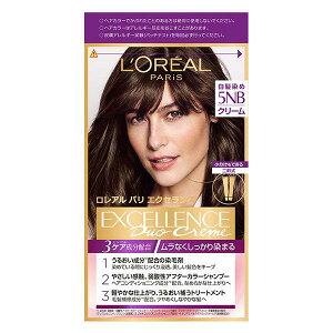 A p GNZX R N[^Cv 5NB RȌIF [Ap  wAJ[]