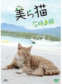 【中古】猫の島 石垣島編 b47703【レンタル専用DVD】