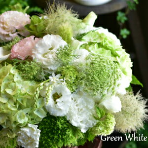 Green White FLowers@L