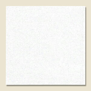 V[N[ 12-12.5 n 100 VW}