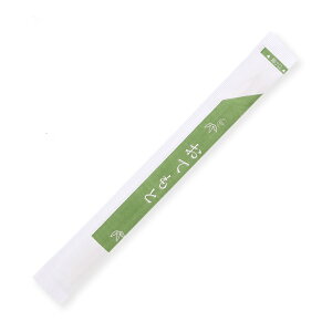 ΂ SWAN |۔ k}Ȃ20cm Ă 100V VW}