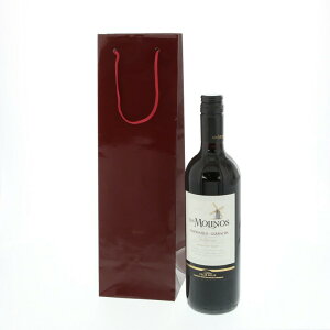 񂰎 uCgobO C1{ GW 1 VW}