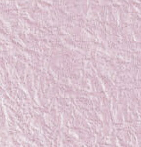  bsOy[p[ p[  TH026 1 TSUTSUMU()