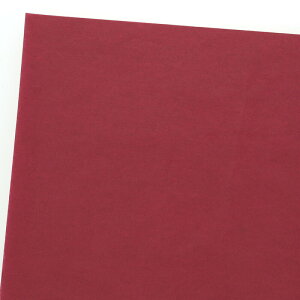 PCt50 B10C 2111814 VW}