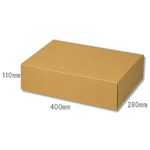 ダンボール ナチュラルBOX Z-9 10枚 シモジマ