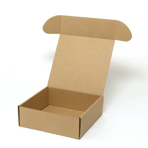 ダンボール ナチュラルBOX Z-19 10枚 シモジマ