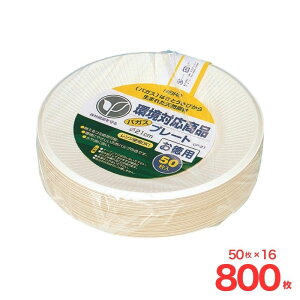 ���p�o�K�X�v���[�g GP-21 50���� �V���W�}