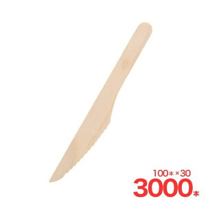 �ؐ��i�C�t 165mm �o�� 100�{�� �V���W�}