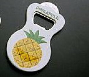 yAEgbgz@؃I[vi[@E-220@@@pCibv@@@[ւɂĂ͂z