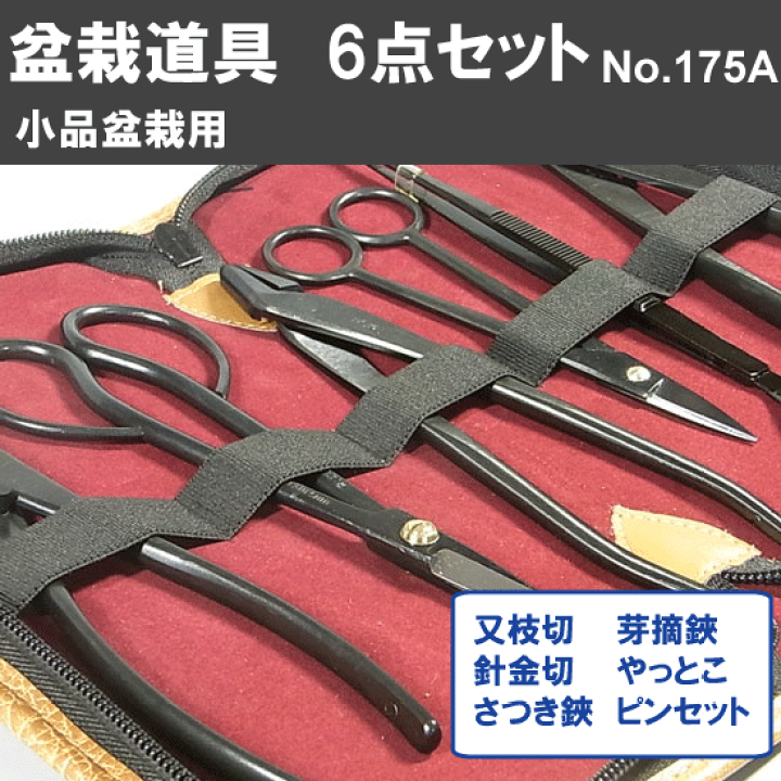 楽天市場】V.ROAD 盆栽 植木 庭木 盆栽道具 6 点組 小品 No.175A