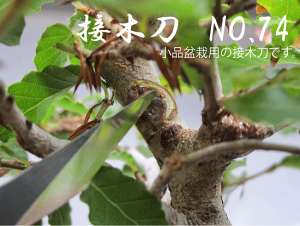 V.ROAD@~́@A؁@؁@ږؓ@אg@No.74