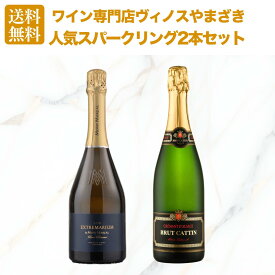 【送料無料】リピート率NO.1スパークも！ワイン専門店ヴィノスやまざき人気スパークリングワイン2本セット [ ワイン ワインセット スパークリング ]